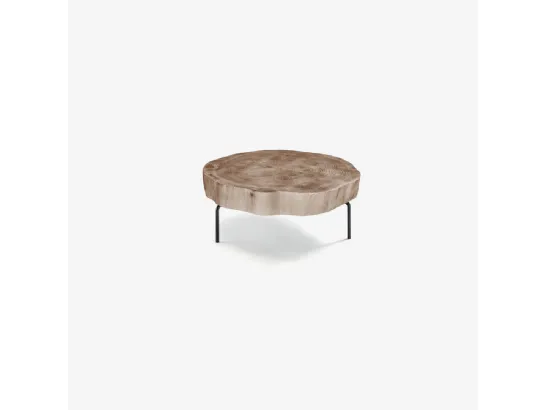 Tavolino Disco in legno massello di cedro profumato ricavato da una sezione trasversale di tronco con piedini in tubolare di ferro di Riva1920