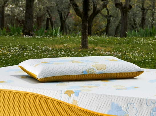 Guanciale Re:Evolution in my form di Dorelan