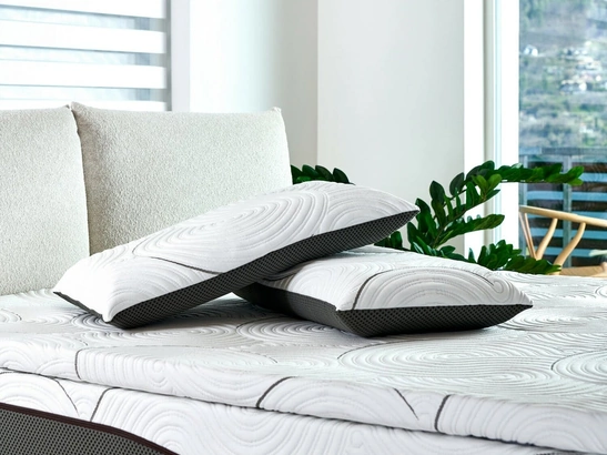 Guanciale Re:Life in lattice di Dorelan